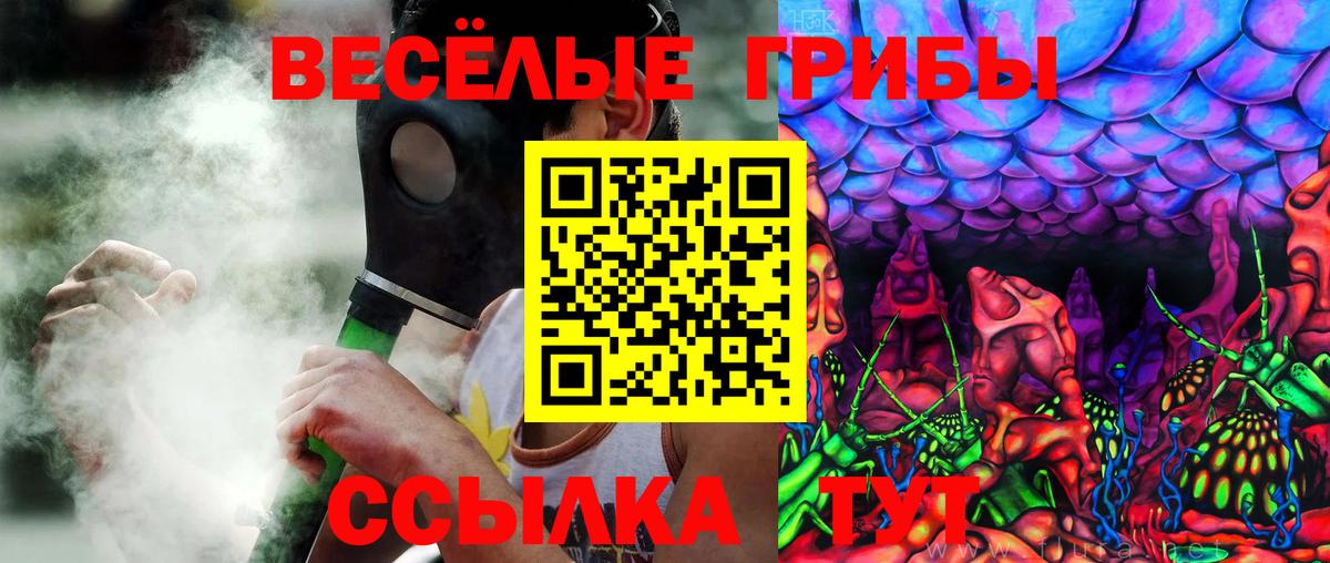 Чистополь  Псилоцибиновые грибы мицелий  где купить   Вход с VPN 