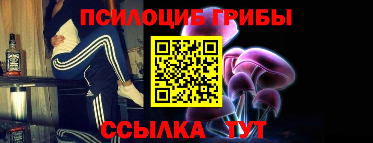 Псилоцибиновые грибы Psilocybe Чистополь