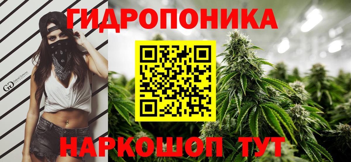 МАРИХУАНА White Widow Чистополь